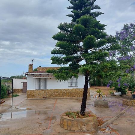 Vila Les Berreries Montroy Exteriér fotografie
