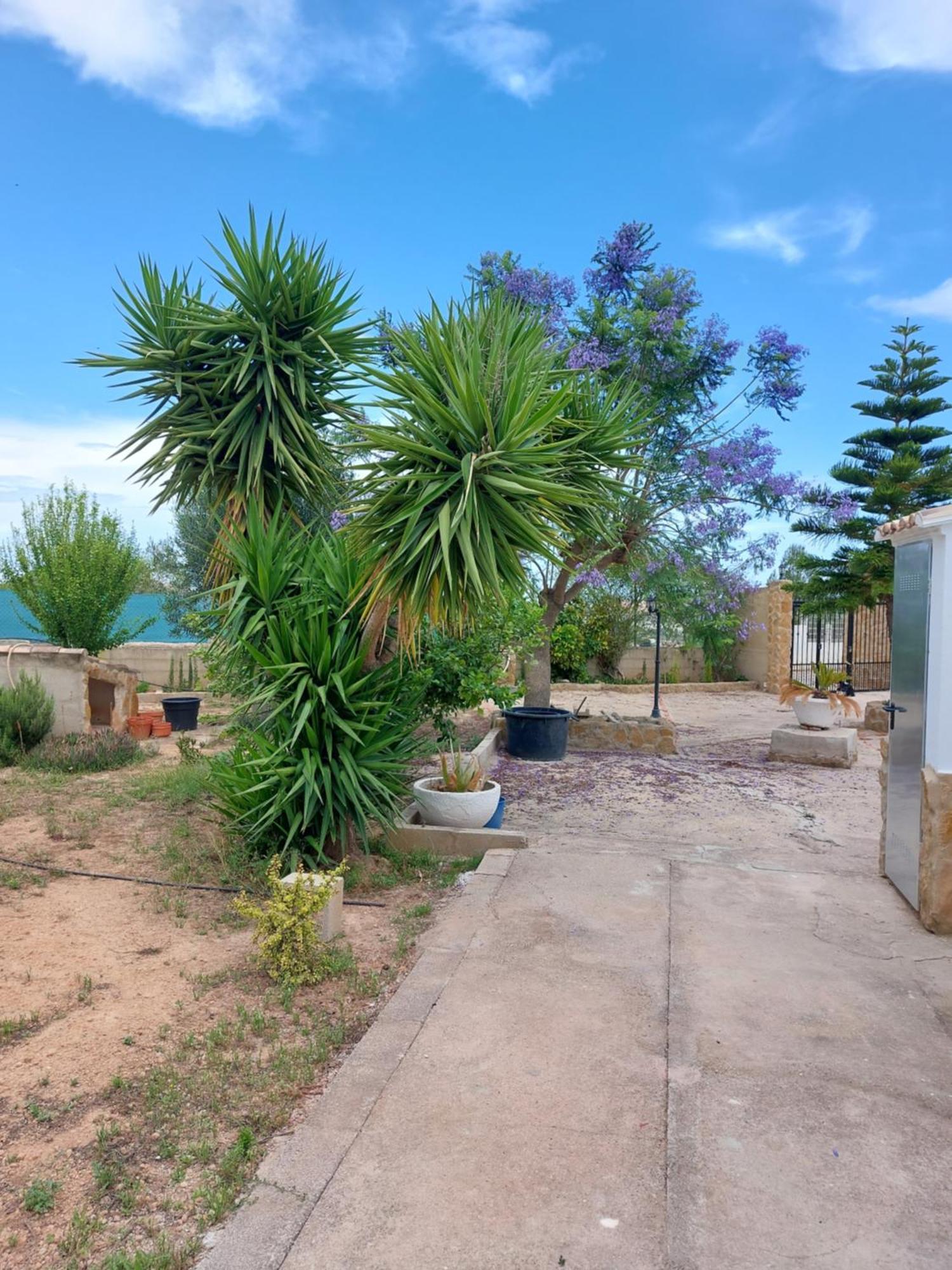 Vila Les Berreries Montroy Exteriér fotografie
