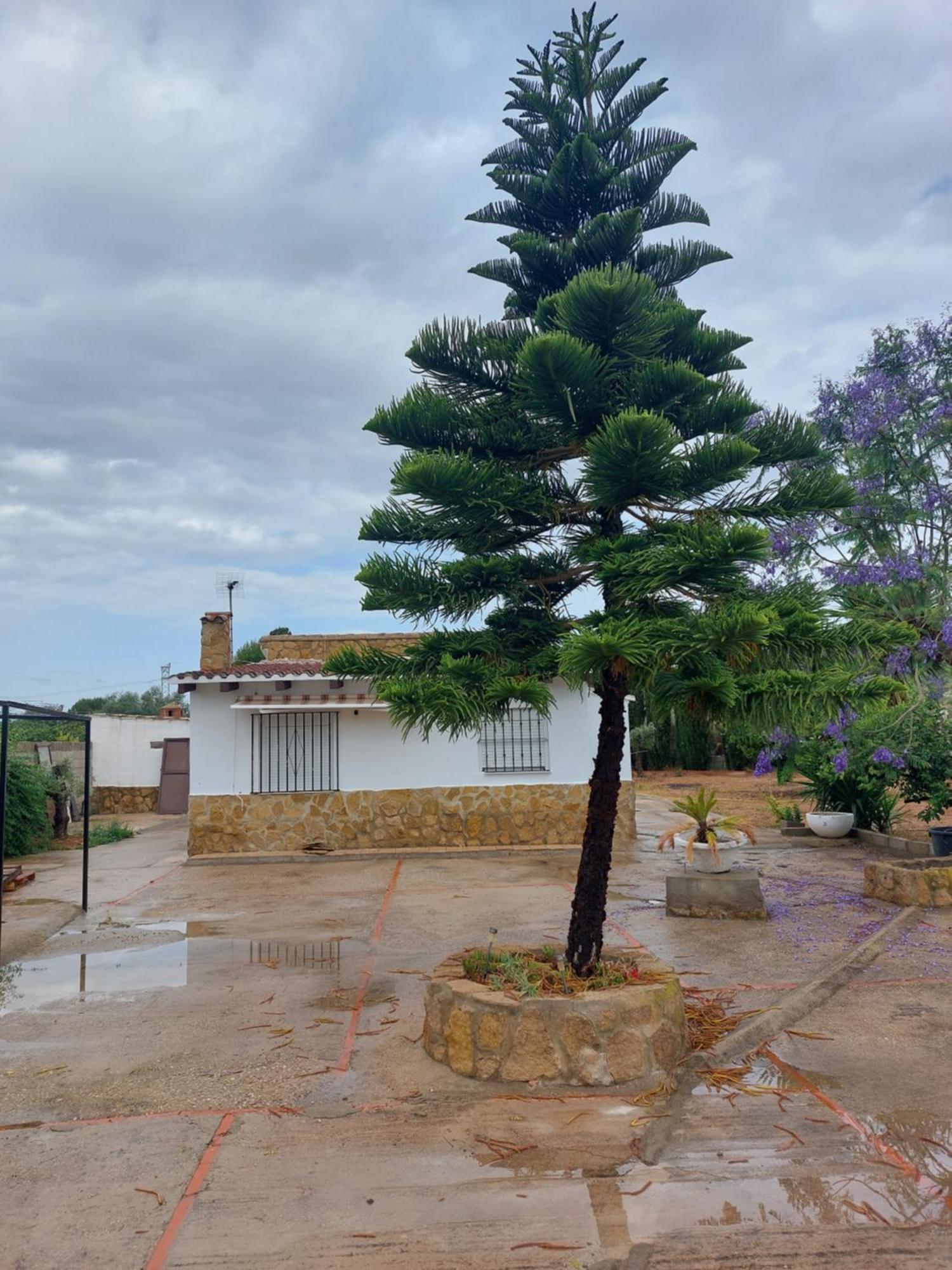 Vila Les Berreries Montroy Exteriér fotografie
