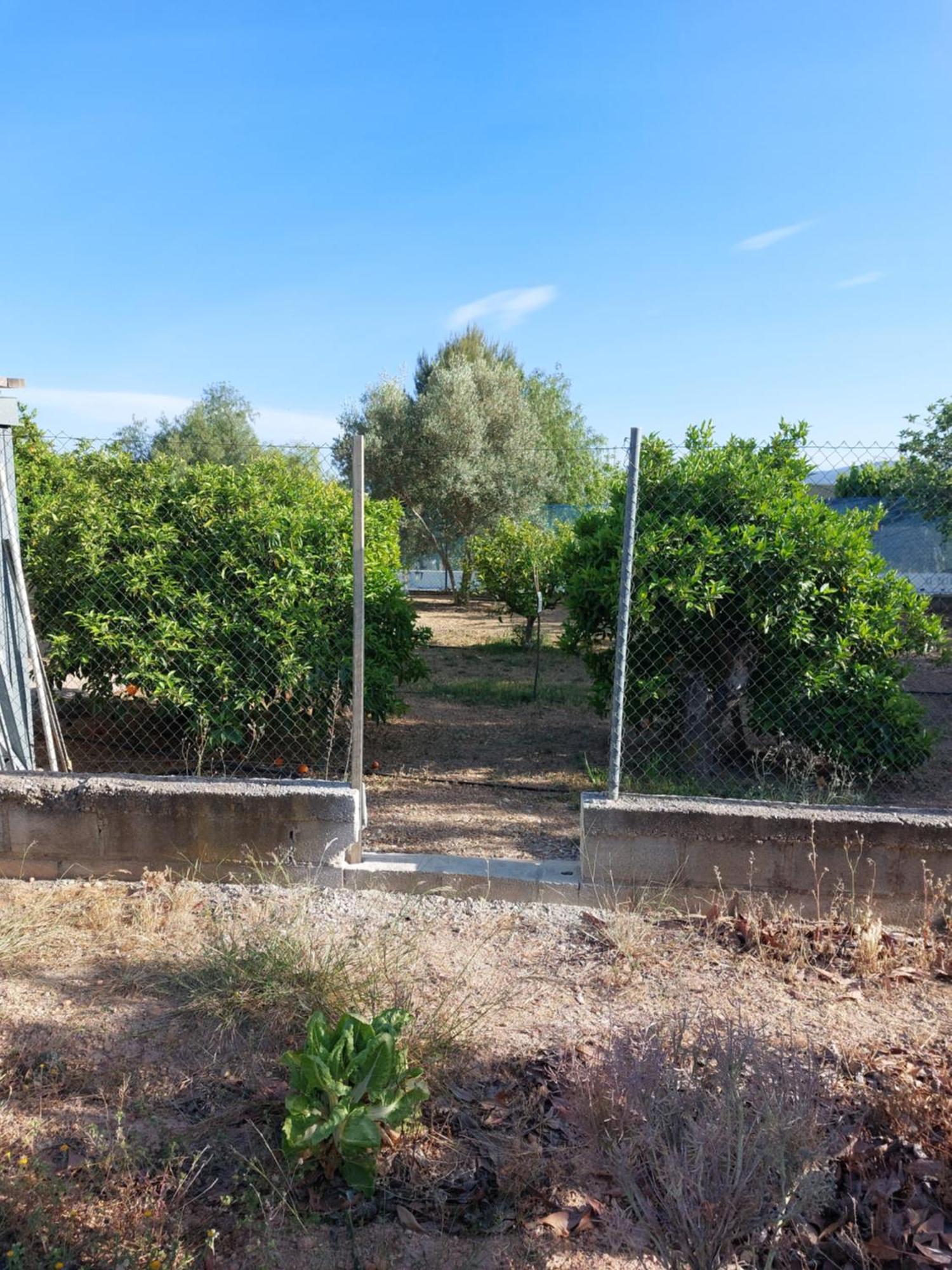 Vila Les Berreries Montroy Exteriér fotografie