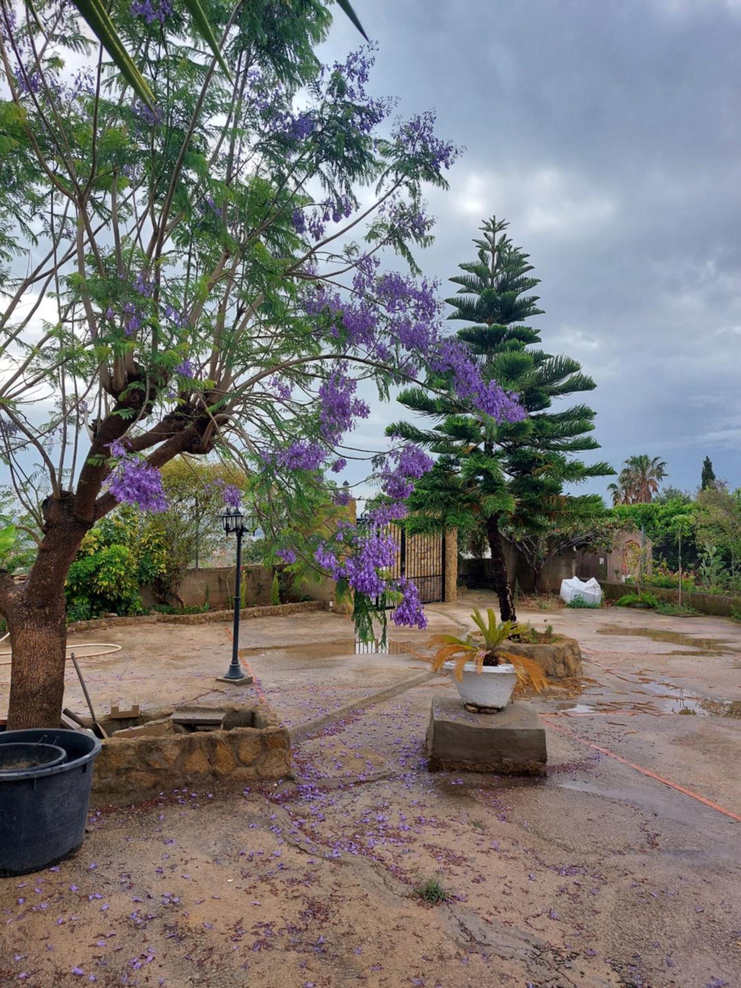 Vila Les Berreries Montroy Exteriér fotografie